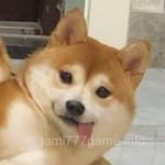 Avatar of Haider Ali