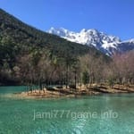 Avatar of Hina Tariq